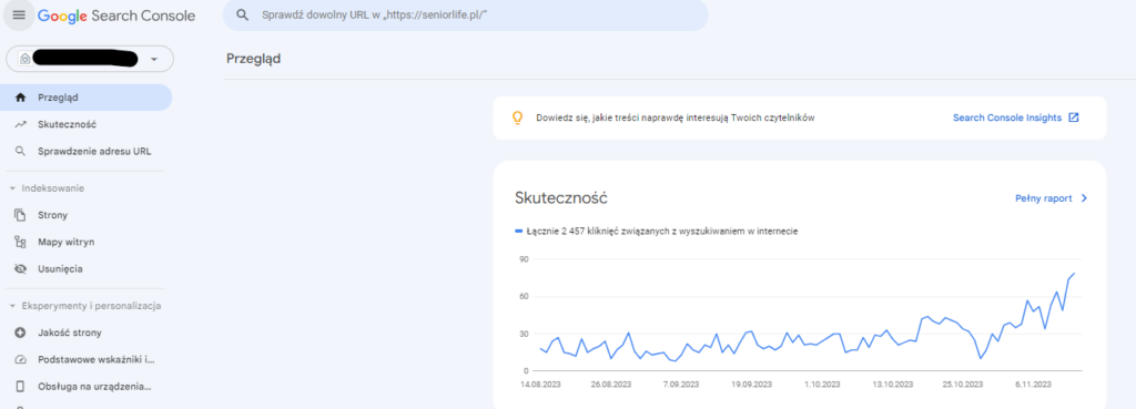 Zrzut ekranu z Google Search console